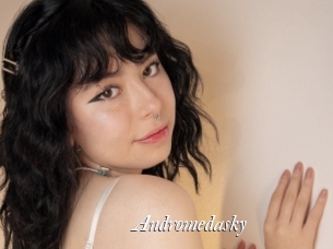 Andromedasky