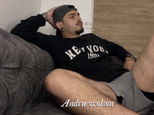 Andru_wolson