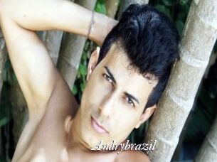 Andrybrazil
