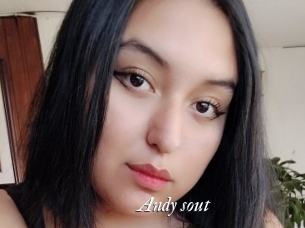Andy_sout