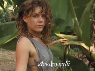 Aniccaspinelli