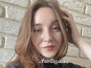 Aniellagalli