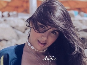 Aniliz
