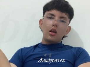 Anndytorrez