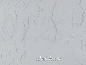 Annisbeeson