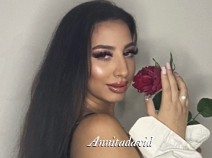 Annitadavid