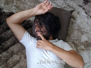 anthonyding Partouze