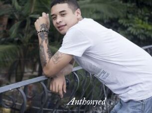 anthonyed Partouze