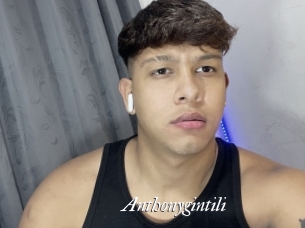 Anthonygintili
