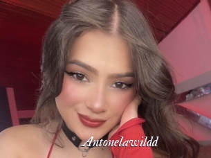 Antonelawildd