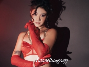 Antonellaagrayy