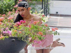 Antonellabarbie