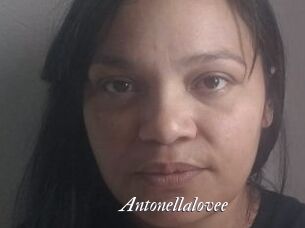 Antonellalovee