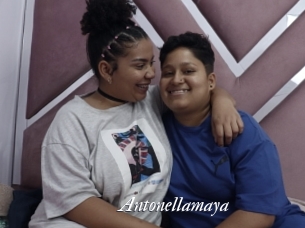 Antonellamaya