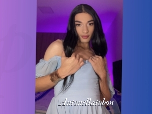 Antonellatobon