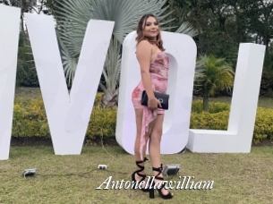 Antonellawilliam