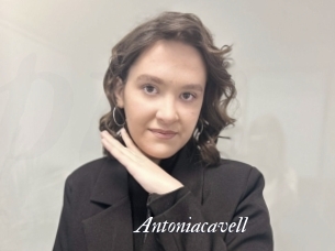 Antoniacavell