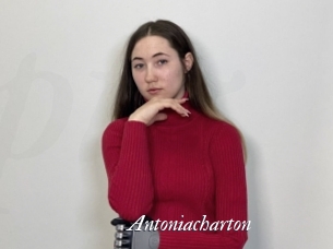Antoniacharton