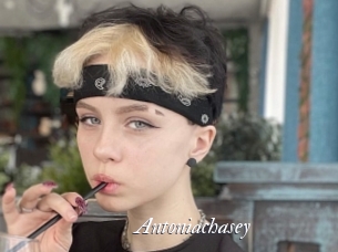 Antoniachasey
