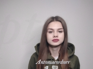 Antoniacordner