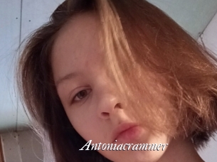 Antoniacrammer
