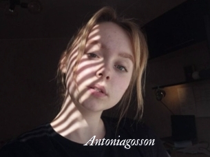 Antoniagosson