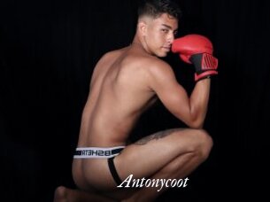 Antonycoot