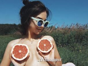 Arinaamor