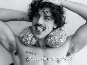 Aristotelesmustache18