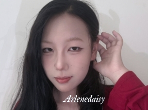 Arlenedaisy