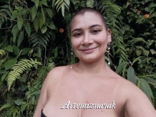 Artemiznayak