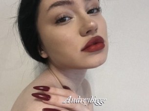 Audreybigge