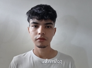 Axcell03