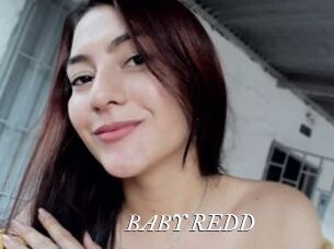 BABY_REDD