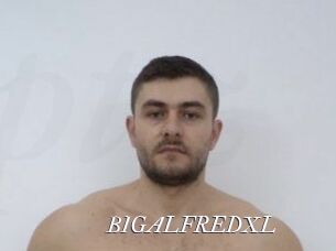 BIGALFREDXL