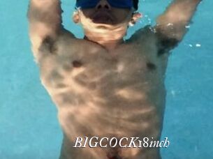 BIGCOCK18inch
