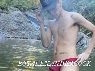BOYALEXANDERCOCK