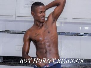 BOY_HORNY_BIGCOCK