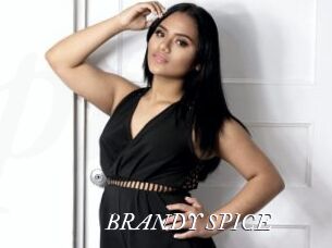 BRANDY_SPICE