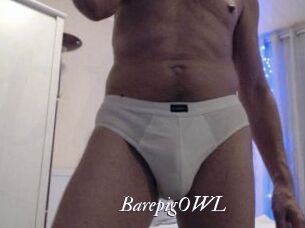 BarepigOWL Partouze