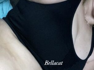 Bella_cat