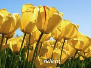 BelleB3 Partouze