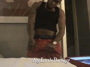 BigLittlePackage
