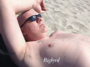 Bigbyrd