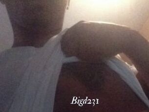 Bigd231 Partouze
