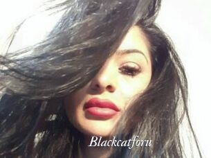 Blackcatforu