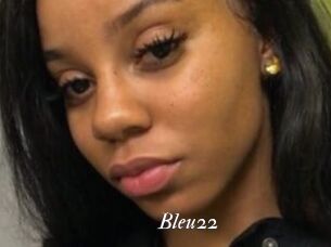 Bleu22 Partouze