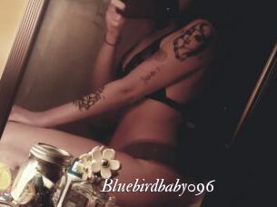 Bluebirdbaby096