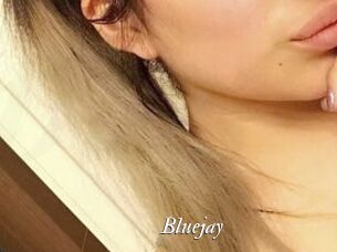 Blue_jay
