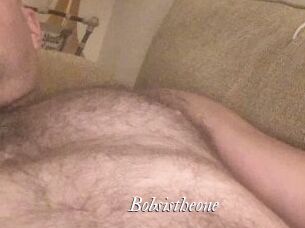 Bobsistheone